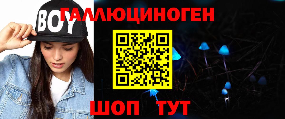 Галлюциногенные грибы GOLDEN TEACHER  Псилоцибиновые грибы Psilocybine cubensis  Вход с VPN  Клин 
